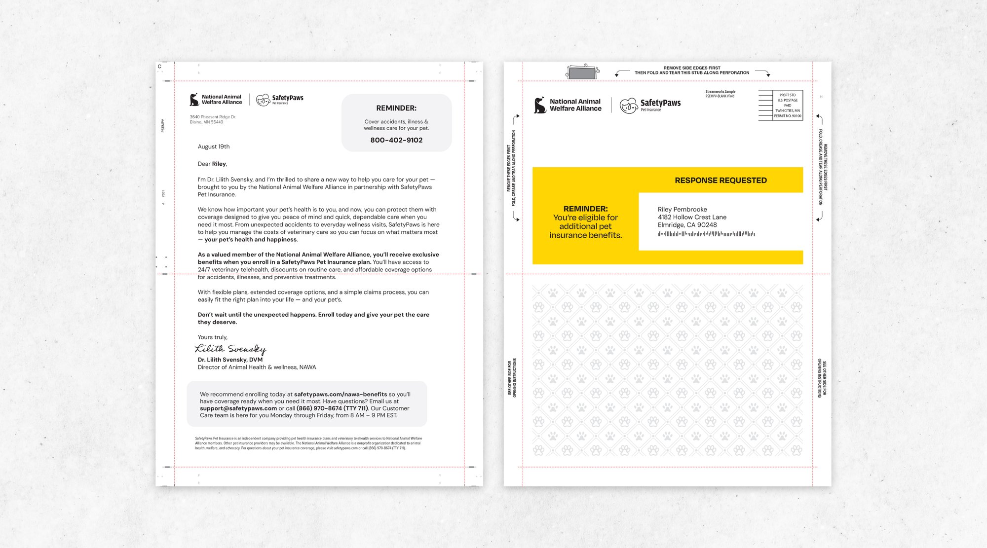 SW-Website-Snap Pack-Details-4 (1)