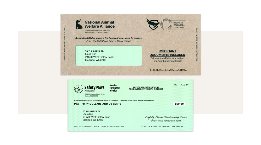 SW-Affinity Marketing-Kraft Envelope Package-1