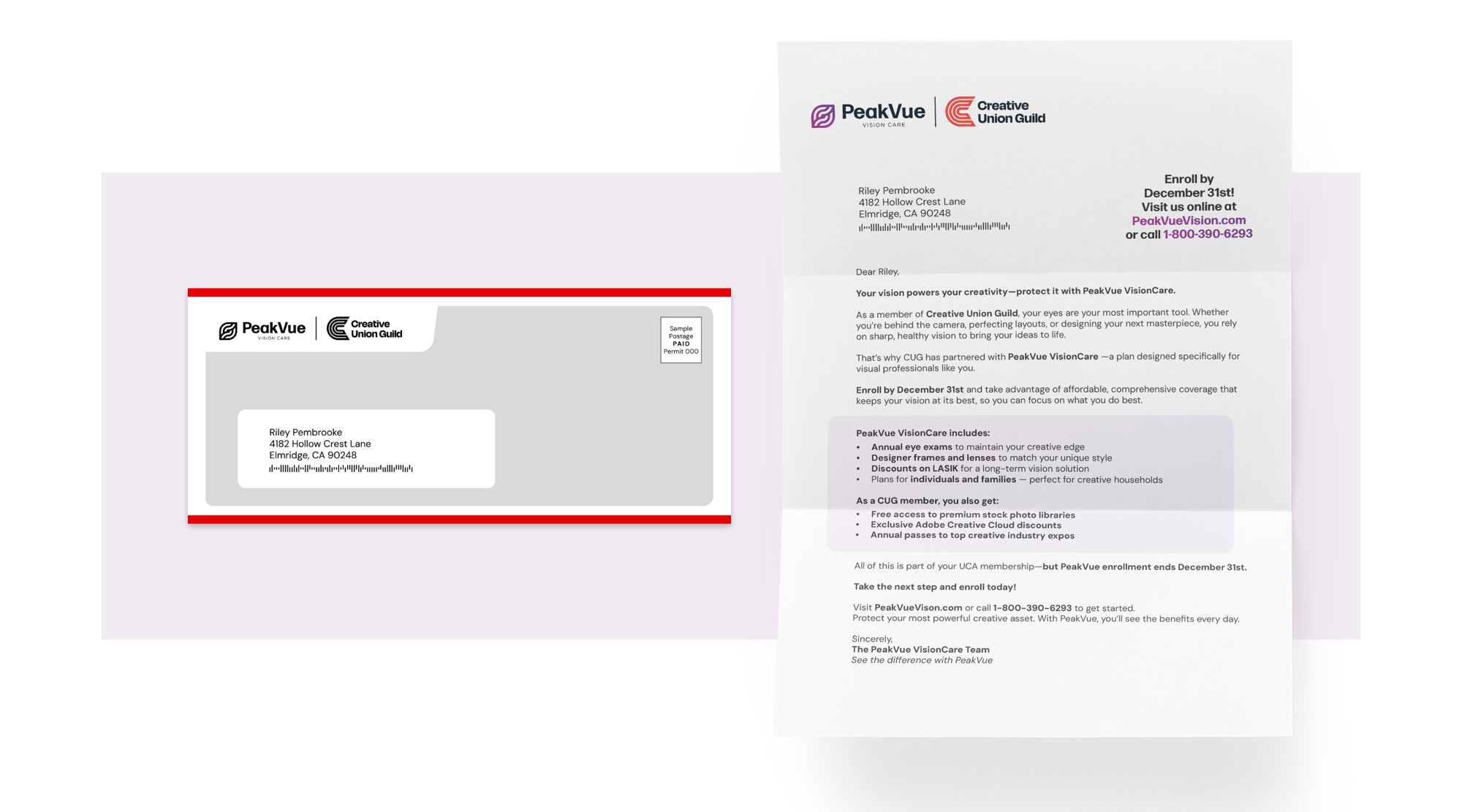SW-Affinity Marketing-Priority Mail Package