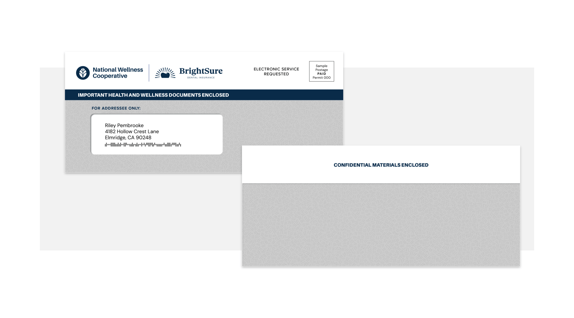 SW-Affinity Marketing-Security Tint Envelope Package